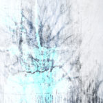 April Mountfort photographs: Light Leaving Trees in Winter #1