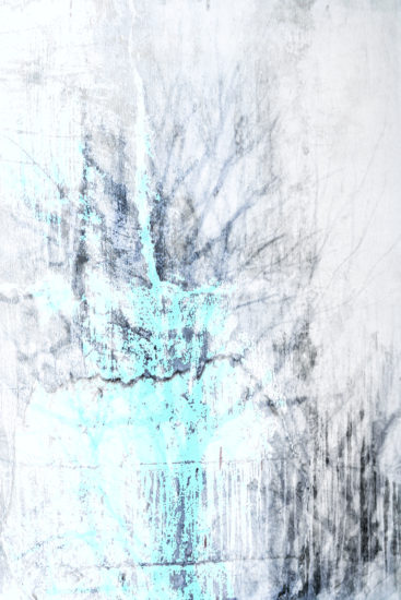 April Mountfort photographs: Light Leaving Trees in Winter #1