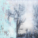 April Mountfort photographs: Light Leaving Trees in Winter #2