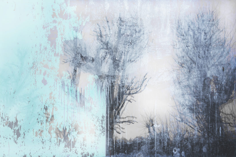 April Mountfort photographs: Light Leaving Trees in Winter #2