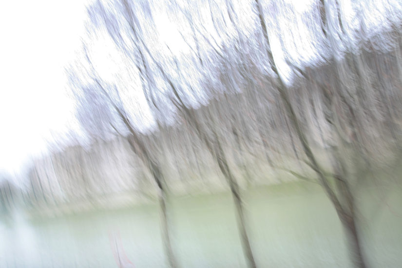 April Mountfort photograph from Landscape series: Paris Winter #1