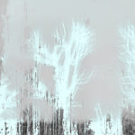 April Mountfort photographs: Light Leaving Trees in Winter #3