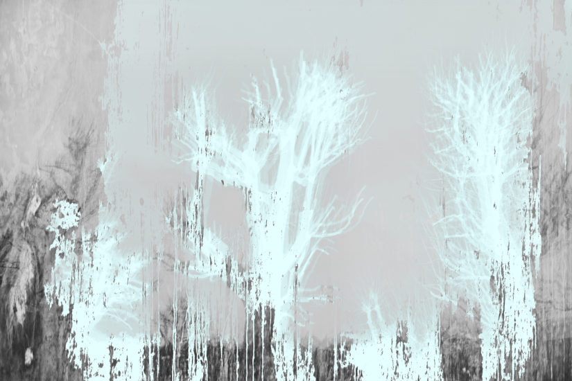 April Mountfort photographs: Light Leaving Trees in Winter #3