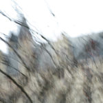 April Mountfort photograph from Landscape series: Paris Winter # 2