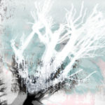 April Mountfort photographs: Light Leaving Trees in Winter #4