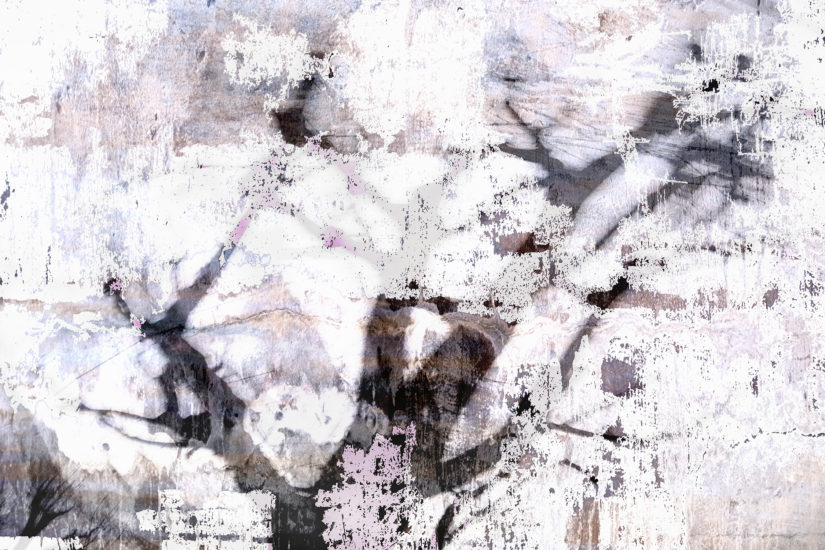 April Mountfort photographs: Light Leaving Trees in Winter #5