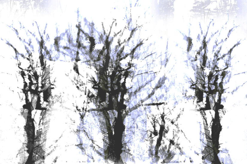 April Mountfort photographs: Light Leaving Trees in Winter #6