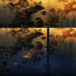 April Mountfort photographs: Archimedes’ Mirrors #9