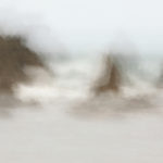 April Mountfort photograph from Landscape series: Coastal Wellington #3