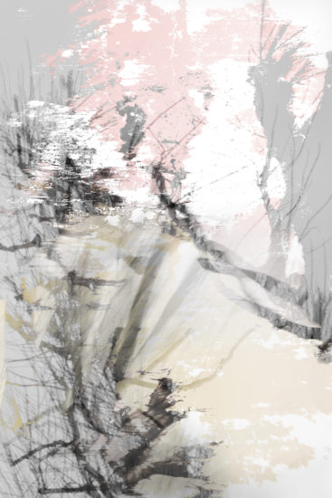 April Mountfort photographs: Light Leaving Trees in Winter #10