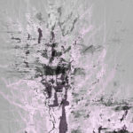 April Mountfort photographs: Light Leaving Trees in Winter #11