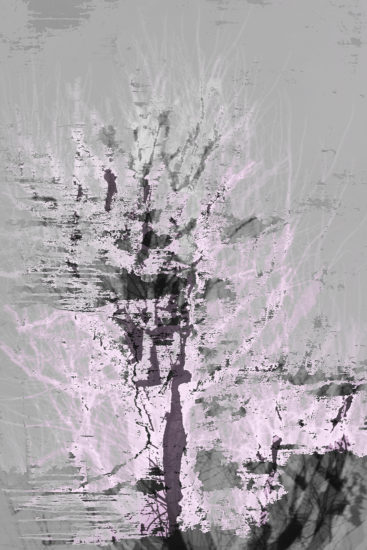 April Mountfort photographs: Light Leaving Trees in Winter #11