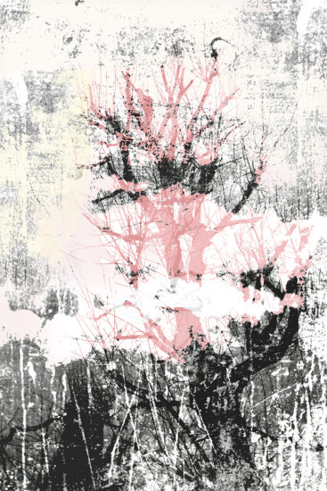 April Mountfort photographs: Light Leaving Trees in Winter #12