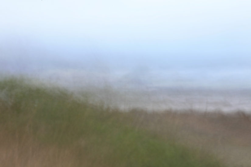 April Mountfort photograph from Landscape series: Coastal Wellington #7