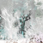 April Mountfort photographs: Light Leaving Trees in Winter #14