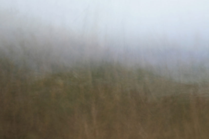 April Mountfort photograph from Landscape series: Coastal Wellington #8