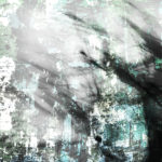 April Mountfort photographs: Light Leaving Trees in Winter #15