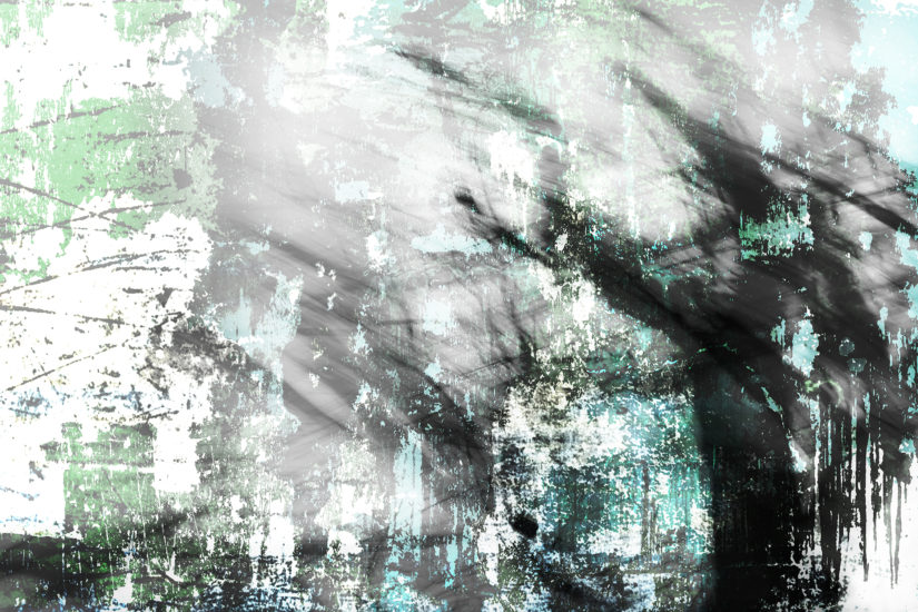 April Mountfort photographs: Light Leaving Trees in Winter #15