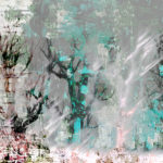 April Mountfort photographs: Light Leaving Trees in Winter #16