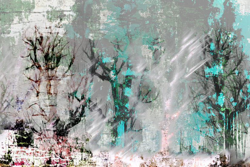 April Mountfort photographs: Light Leaving Trees in Winter #16